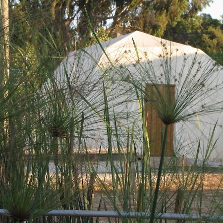 Yarok Az - Ecolodge Farm Ilaniya 客房 照片