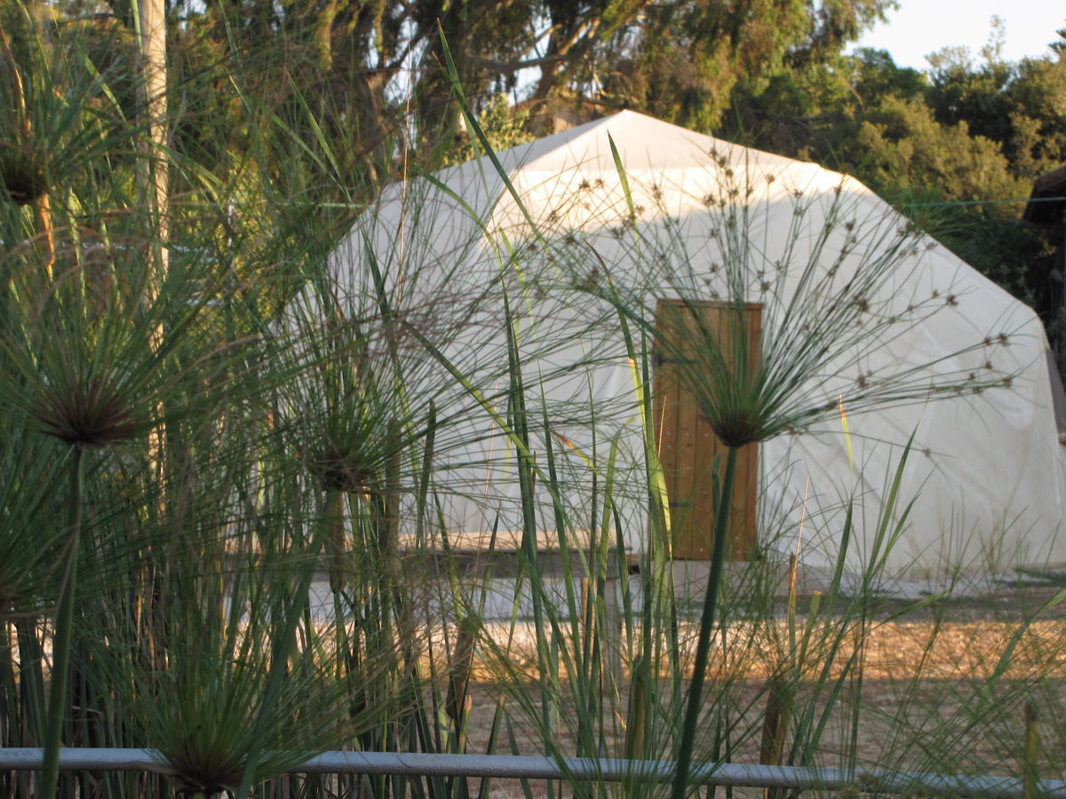Yarok Az - Ecolodge Farm Ilaniya 客房 照片