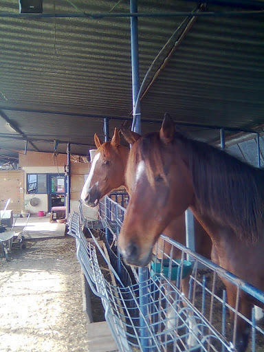Yarok Az - Ecolodge Farm Ilaniya 外观 照片