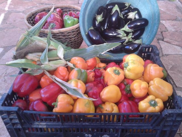 Yarok Az - Ecolodge Farm Ilaniya 外观 照片