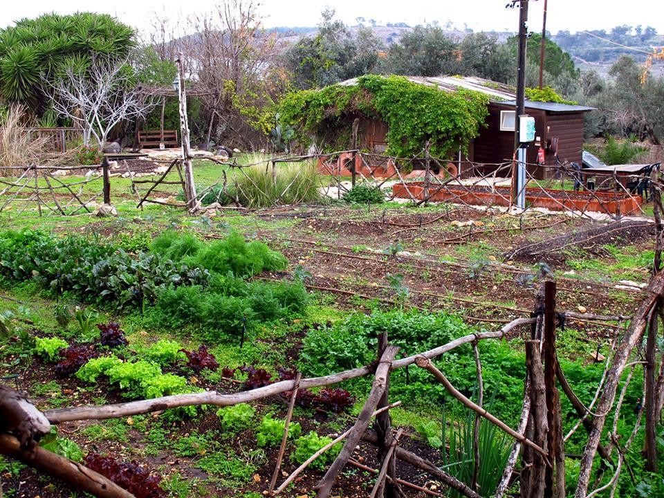 Yarok Az - Ecolodge Farm Ilaniya 外观 照片